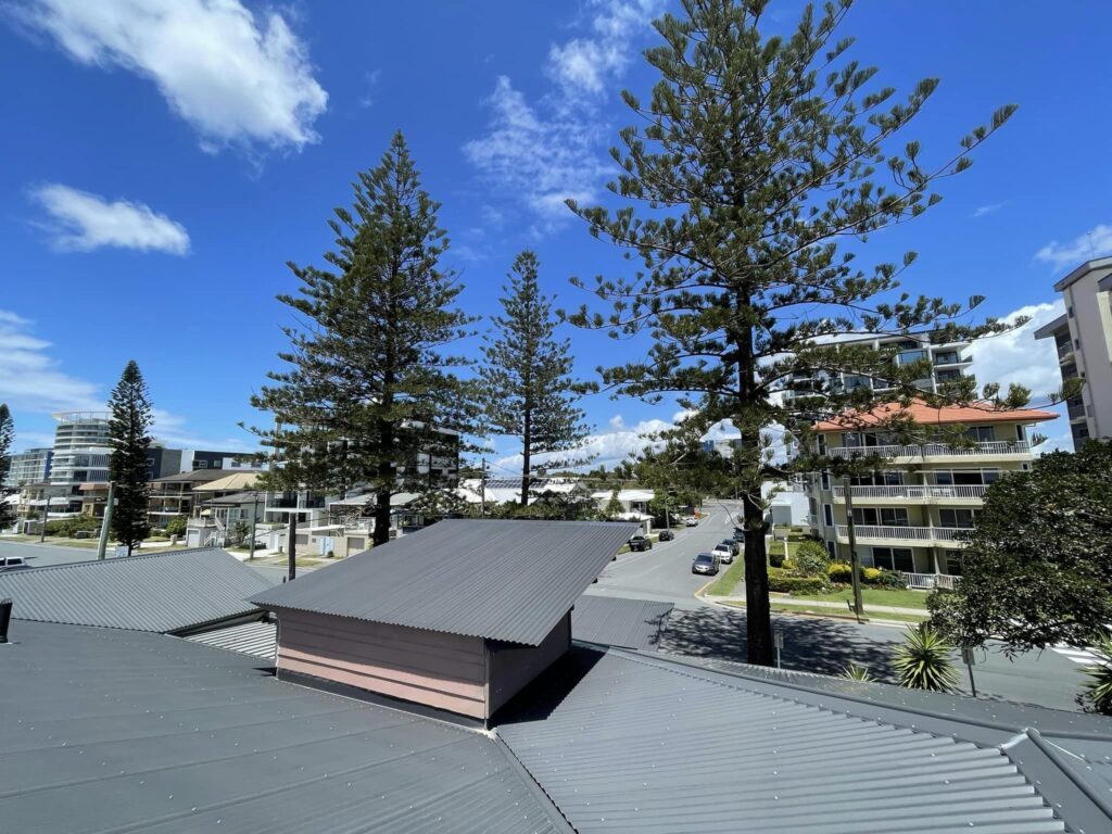 Roof of a building with trees and a blue sky