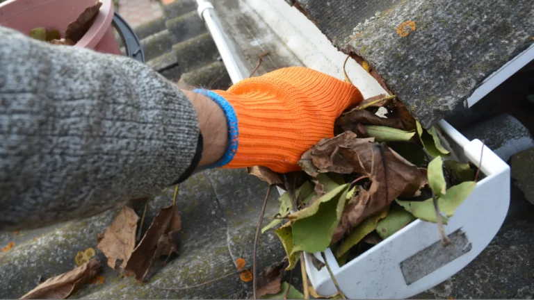 Hand cleaning a gutter full of leaves.